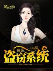 《极品盗窃系统》