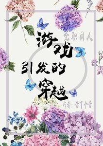 《(BG/全职同人)游戏引发的穿越》