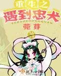 《重生之遇到忠犬》
