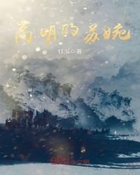高明的苏婉