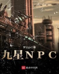 九星NPC