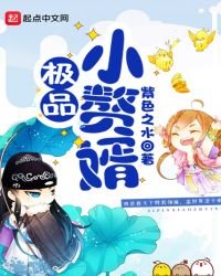 《极品小赘婿》