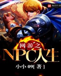 《网游之NPC人生》