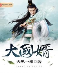 《大国婿》