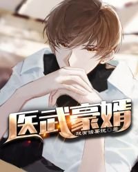 《医武豪婿》