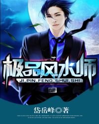 《极品风水师》