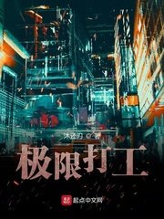 《极限打工》