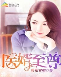 《医婿至尊》
