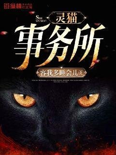 《灵猫事务所》