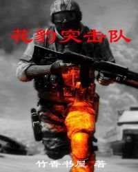 《花豹突击队》