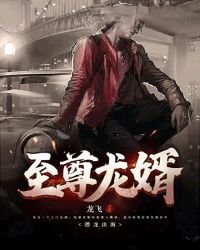 《至尊龙婿》