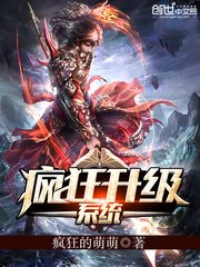 《疯狂升级系统》