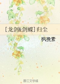 （BL/霹雳同人）[龙剑&剑蝶]归尘
