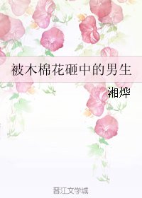 被木棉花砸中的男生
