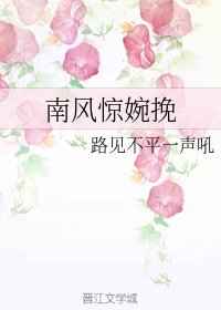 《南风惊婉挽》