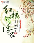 (红楼同人/BG)红楼皆浮云