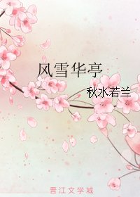 《风雪华亭》
