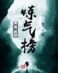 《我要上炼气榜》