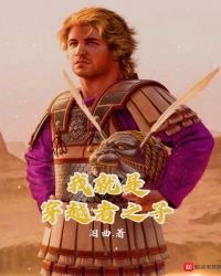 《我就是穿越者之子》