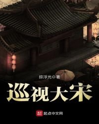 巡视大宋
