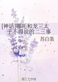 《殿下有喜了》
