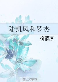 陆凯风和罗杰