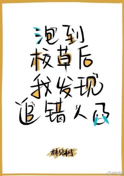 《撩到校草后我发现追错人了》