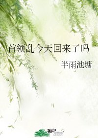《(文野同人)首领乱今天回来了吗》