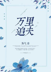 《万里追夫》
