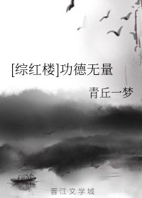 （红楼梦同人）[综红楼]功德无量