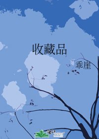 《收藏品》