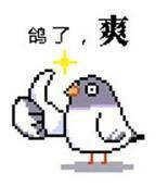 山神和我结婚是为了搞开发