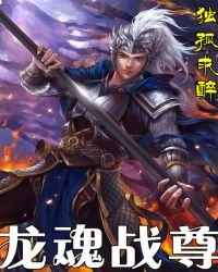 《龙魂战尊》