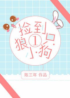 《捡到一只小狼狗》