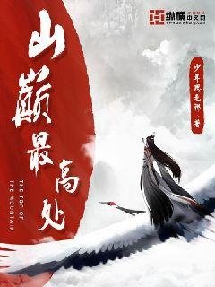 山巅最高处
