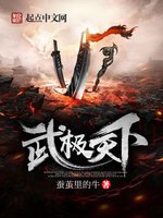 《武极天下》