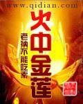 《火中金莲》