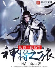 《穿越的神将》