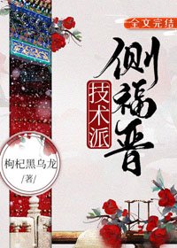 《技术派侧福晋》