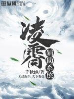《凌霄辅助系统》
