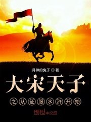 《大宋天子之从征服水浒开始》