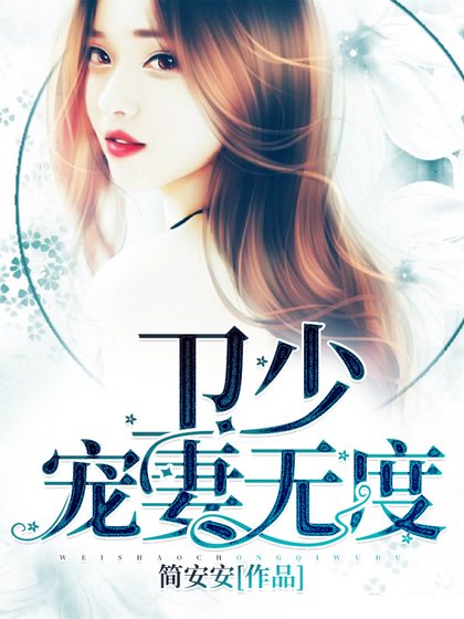 《卫少,宠妻无度!》