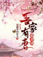 《吾家有妻娇养成》