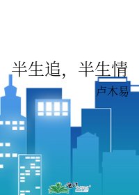 《生追,半生情》