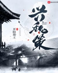《兴魏策》