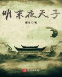 《明末夜天子》