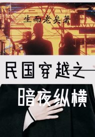 《民国穿越之暗夜纵横》