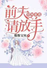 《情网难逃:前夫,请放手》