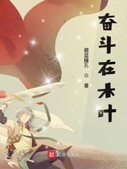 《奋斗在木叶》