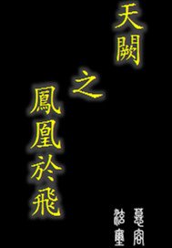 《天阙之凤凰于飞》